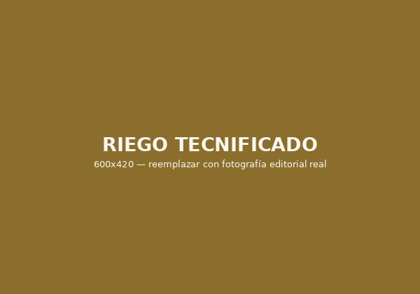 Sistema de riego tecnificado en el huerto
